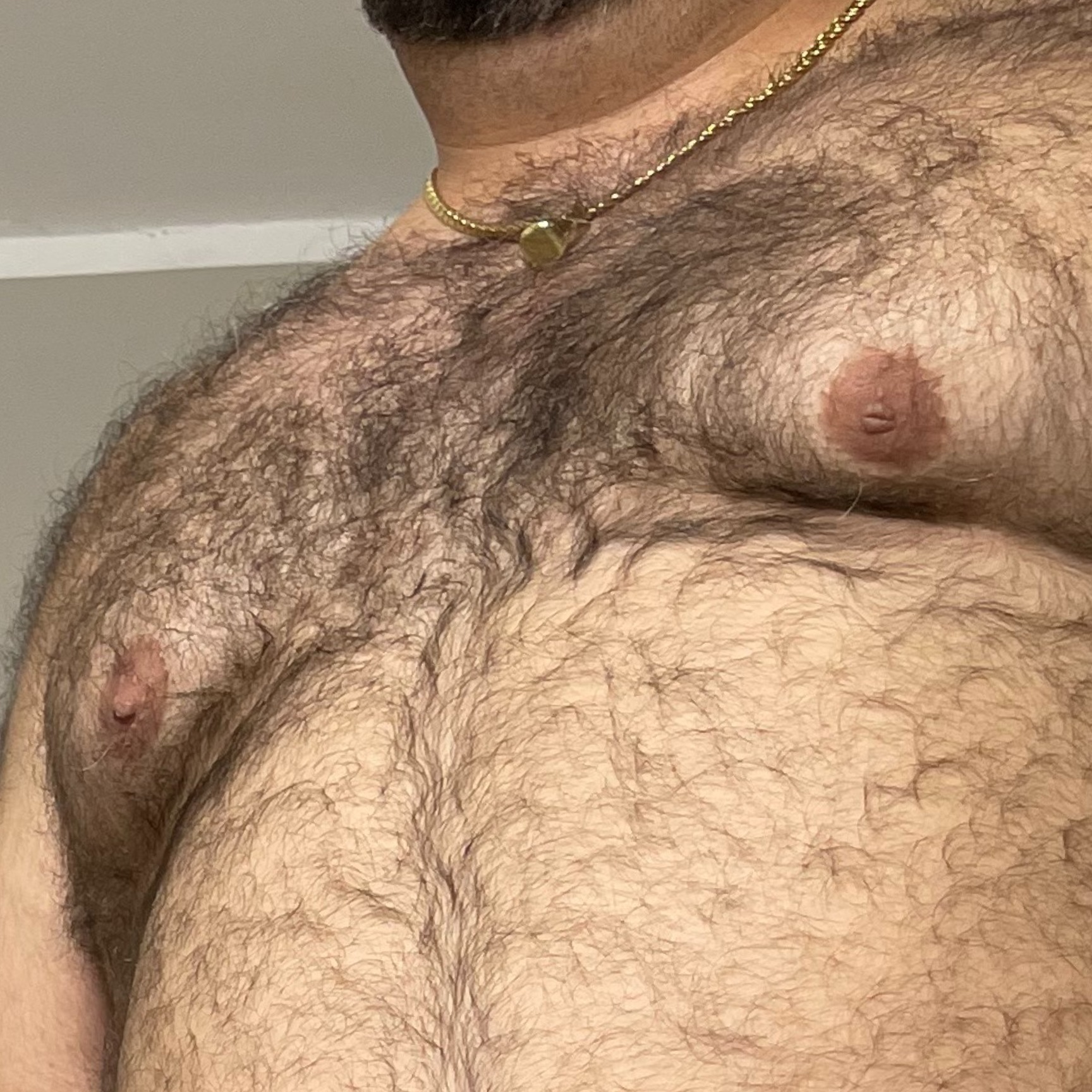 BIG DADDY BEAR banner